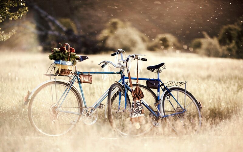 Two Bicycles in Field — Blue