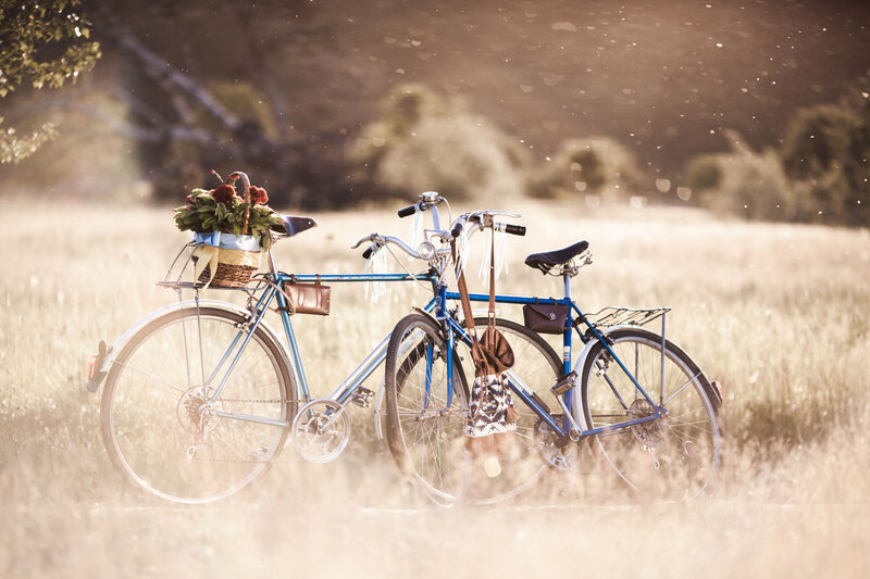 Two Bicycles in Field