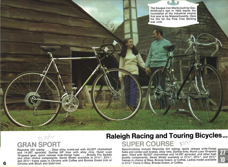 Two Bicycles on Grass