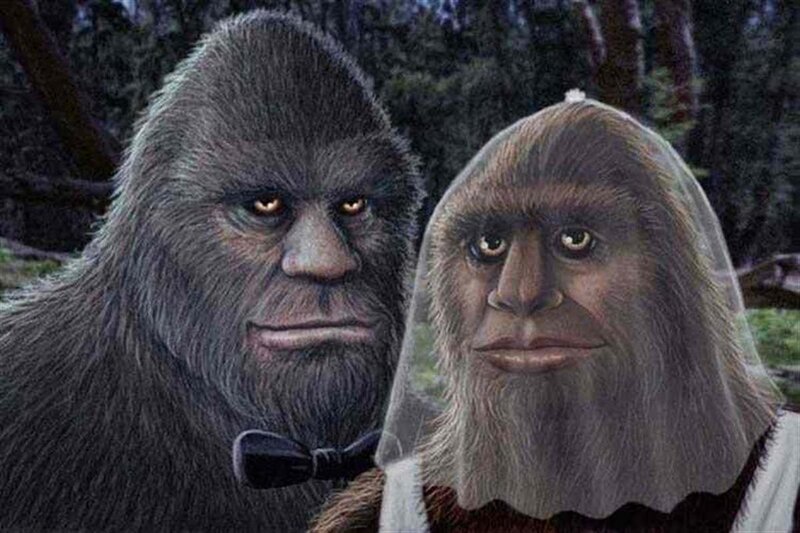 Two Bigfoot Creatures