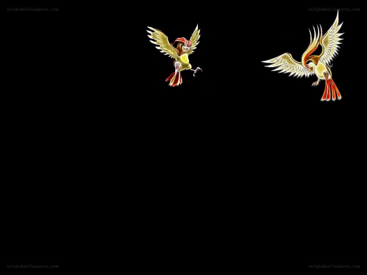 Two bird-like creatures in flight