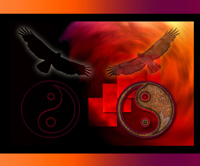 Two Birds and Yin-yang Symbols