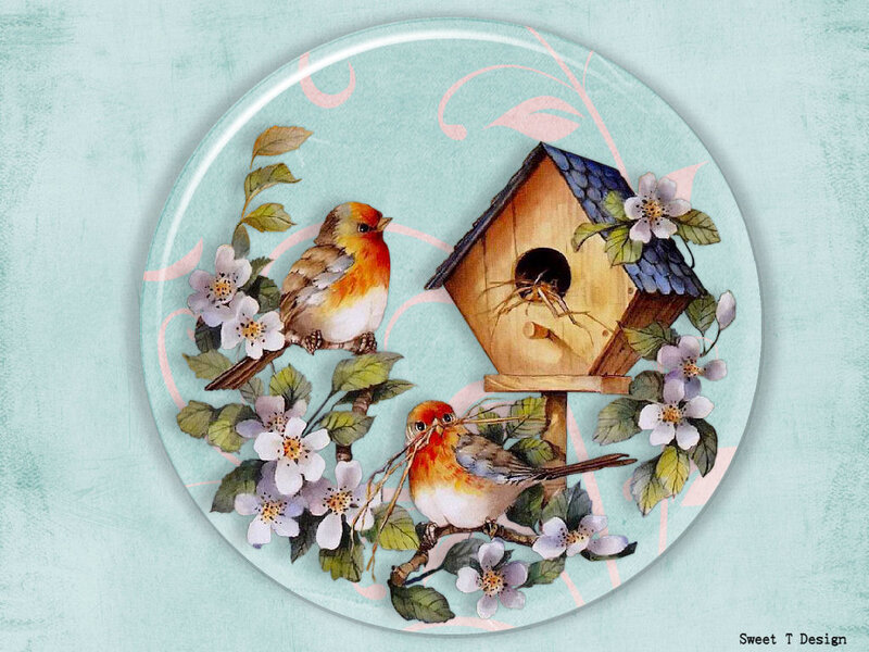 Two Birds at Birdhouse