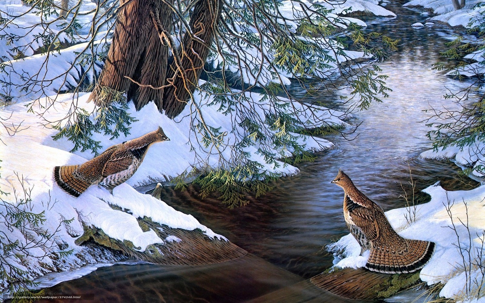 Two birds by a snowy stream