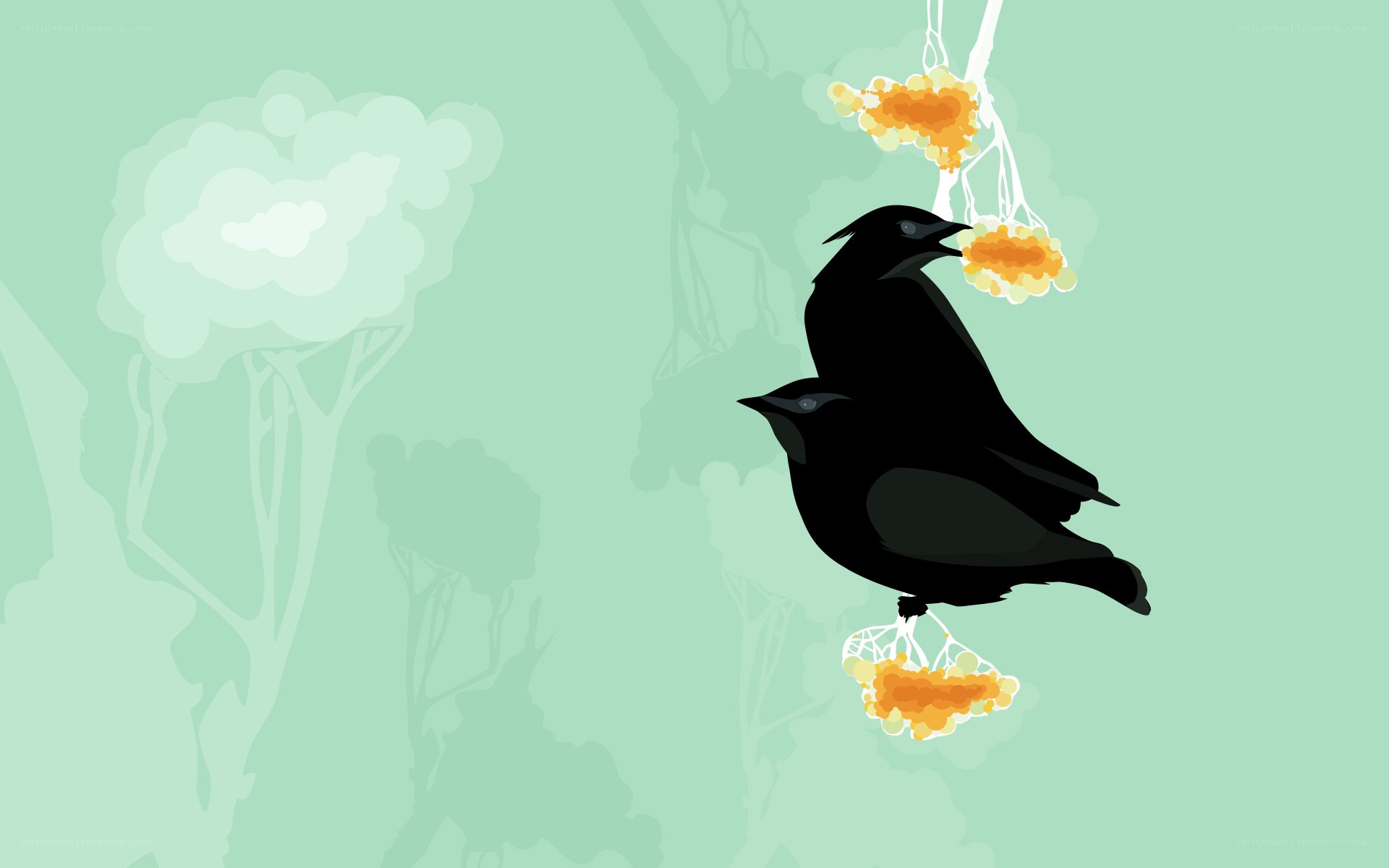 Two birds eating berries
