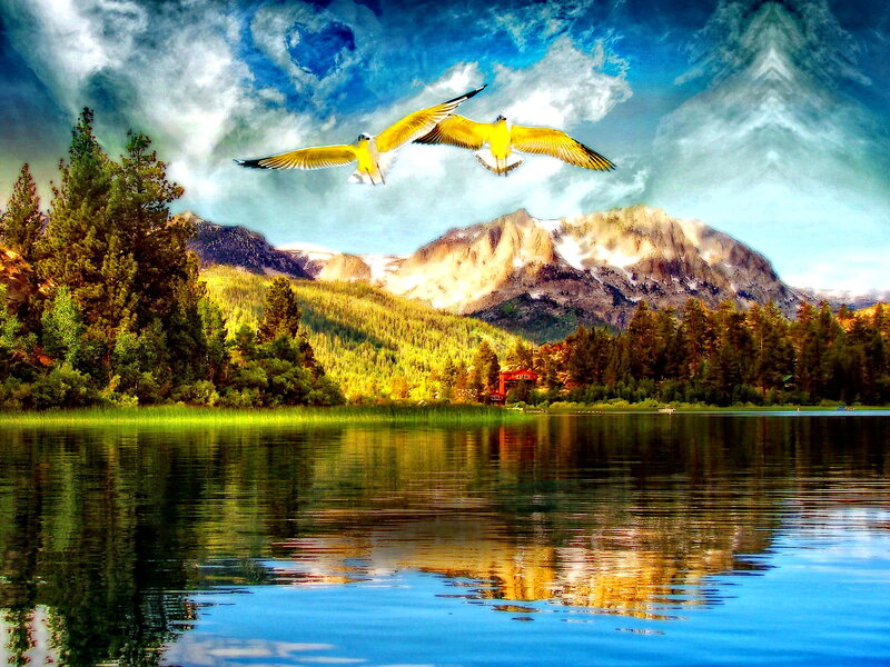 Two Birds Flying — Blue, Dramatic