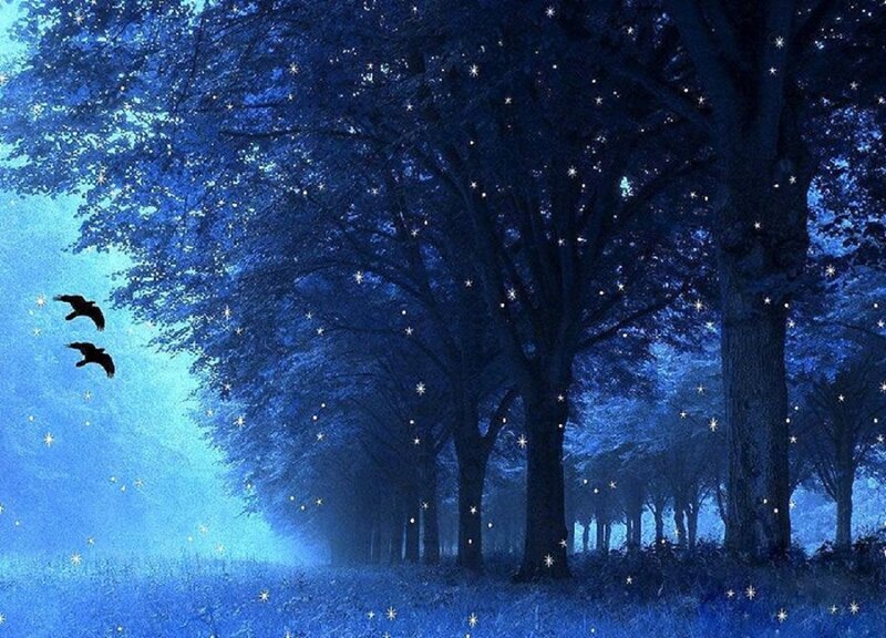 Two Birds Flying — Blue, Serene, Night