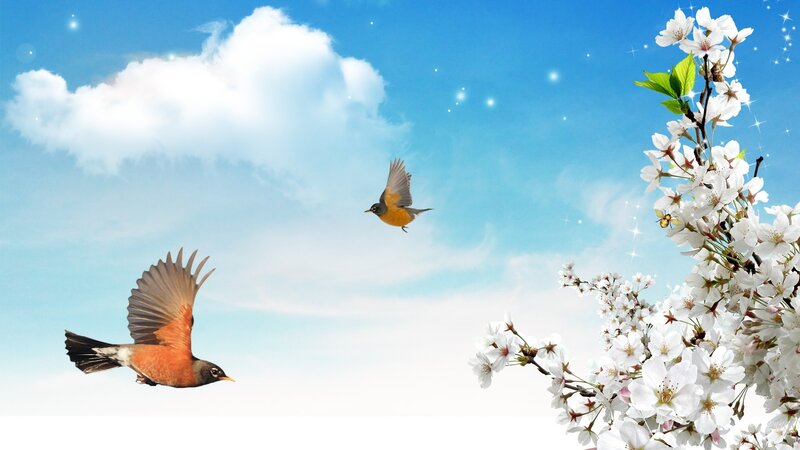 Two Birds Flying — Blue