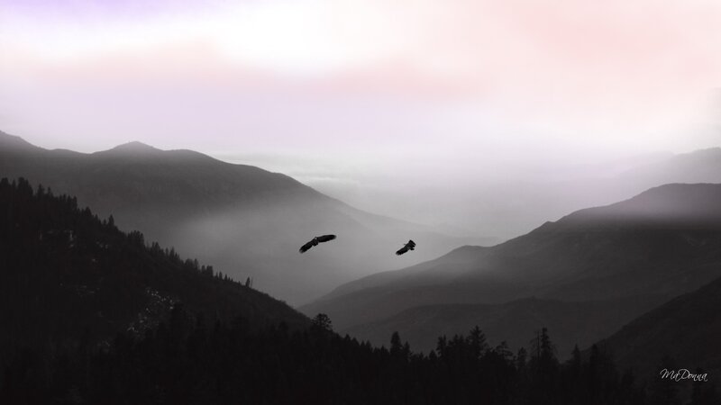 Two Birds Flying — Gray
