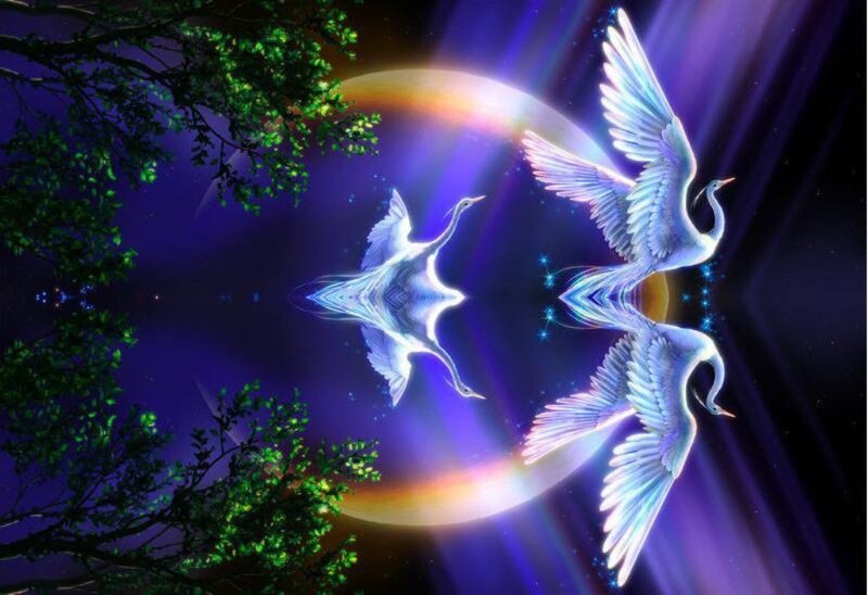Two birds flying in a magical night sky