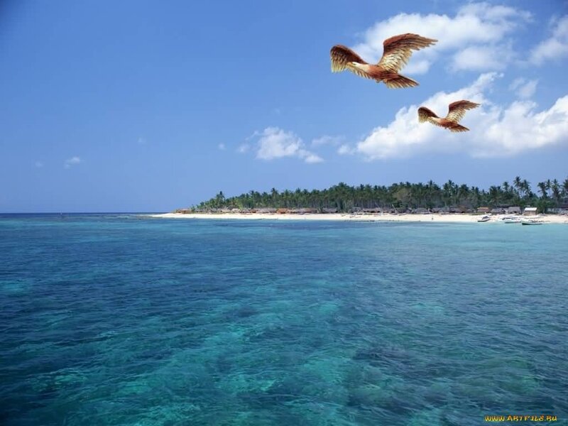 Two Birds Flying over Island — Blue