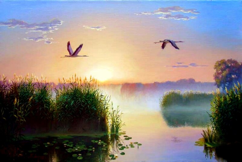 Two Birds Flying over Lake