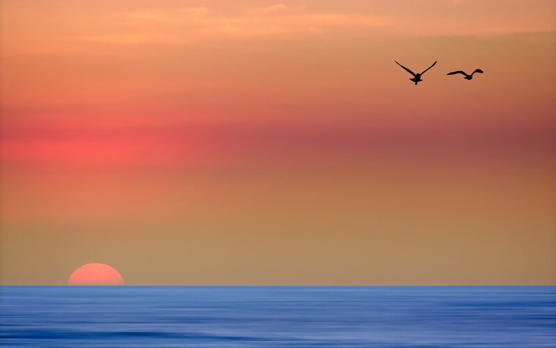 Two Birds Flying over Ocean — Orange, Serene