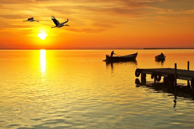 Two Birds Flying over Water — Orange