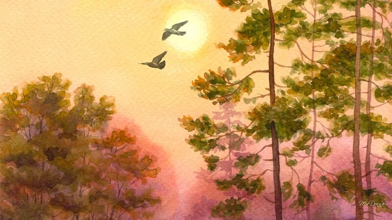 Two Birds Flying — Yellow, Serene, Sunset