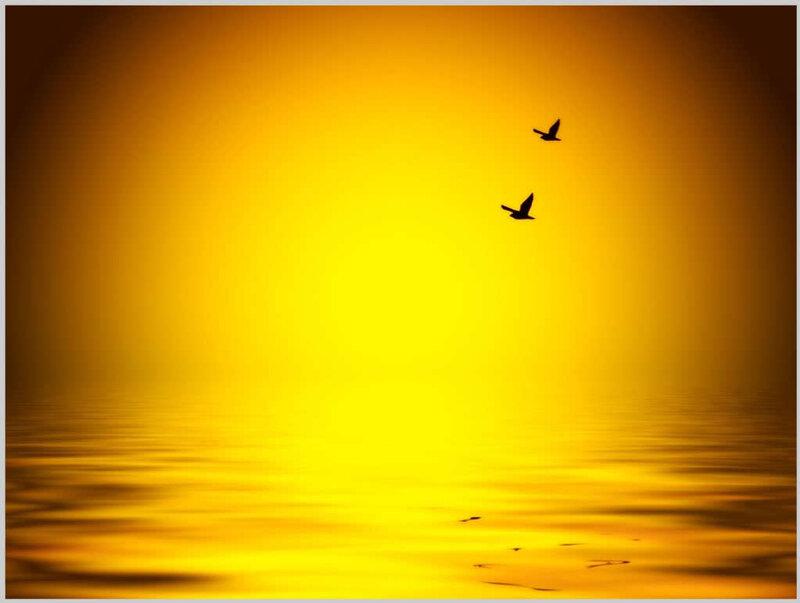 Two Birds Flying — Yellow