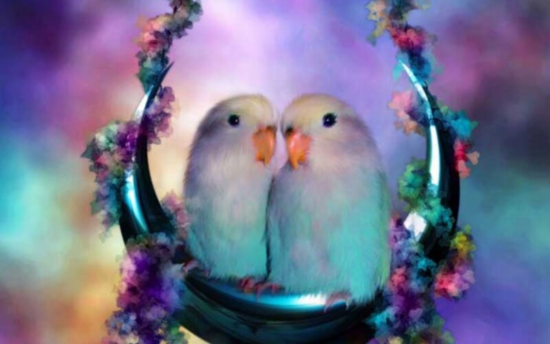 Two birds in a floral swing