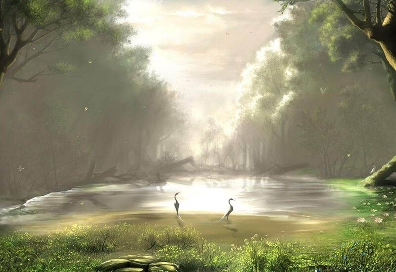 Two Birds in a Forest — Green, Serene, Morning