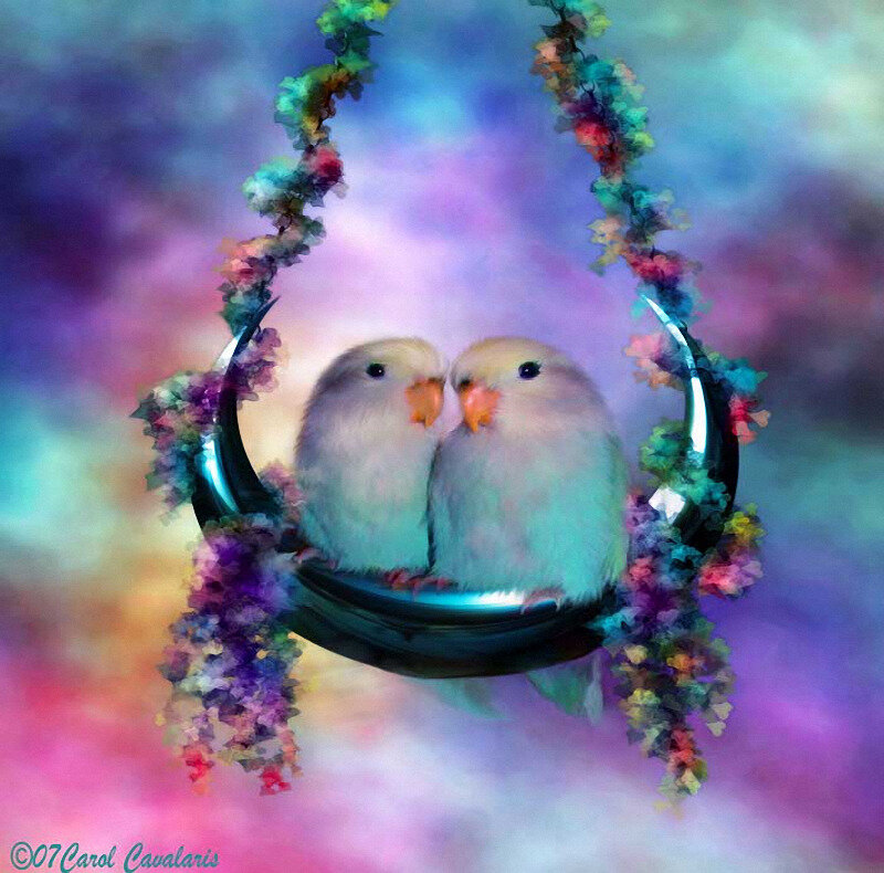 Two Birds in a Swing
