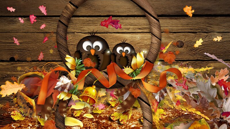 Two Birds in Basket