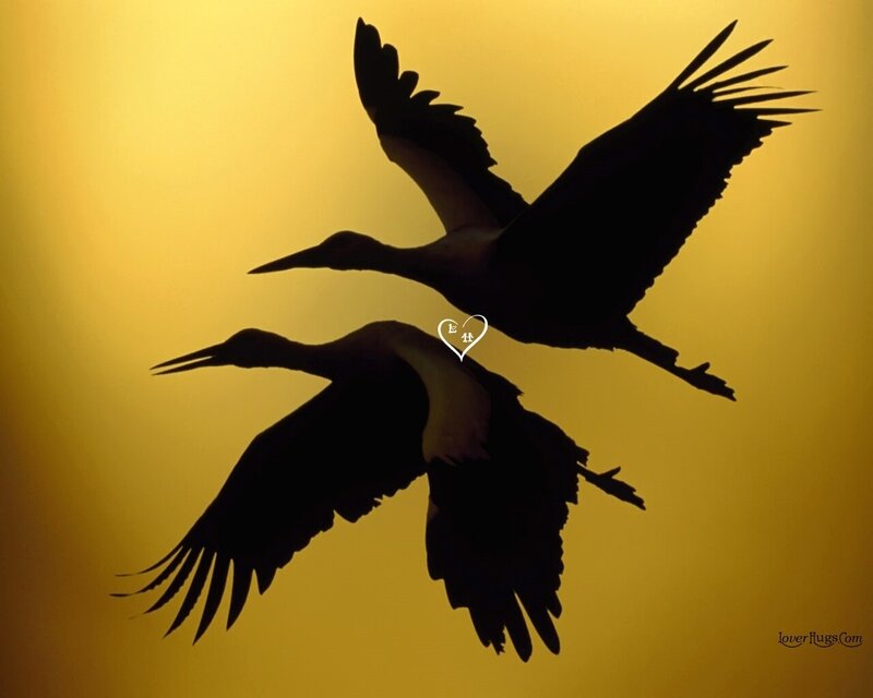 Two Birds in Flight — Yellow, Serene