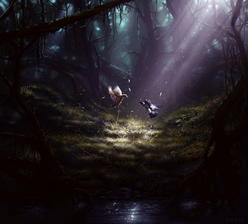 Two Birds in Forest