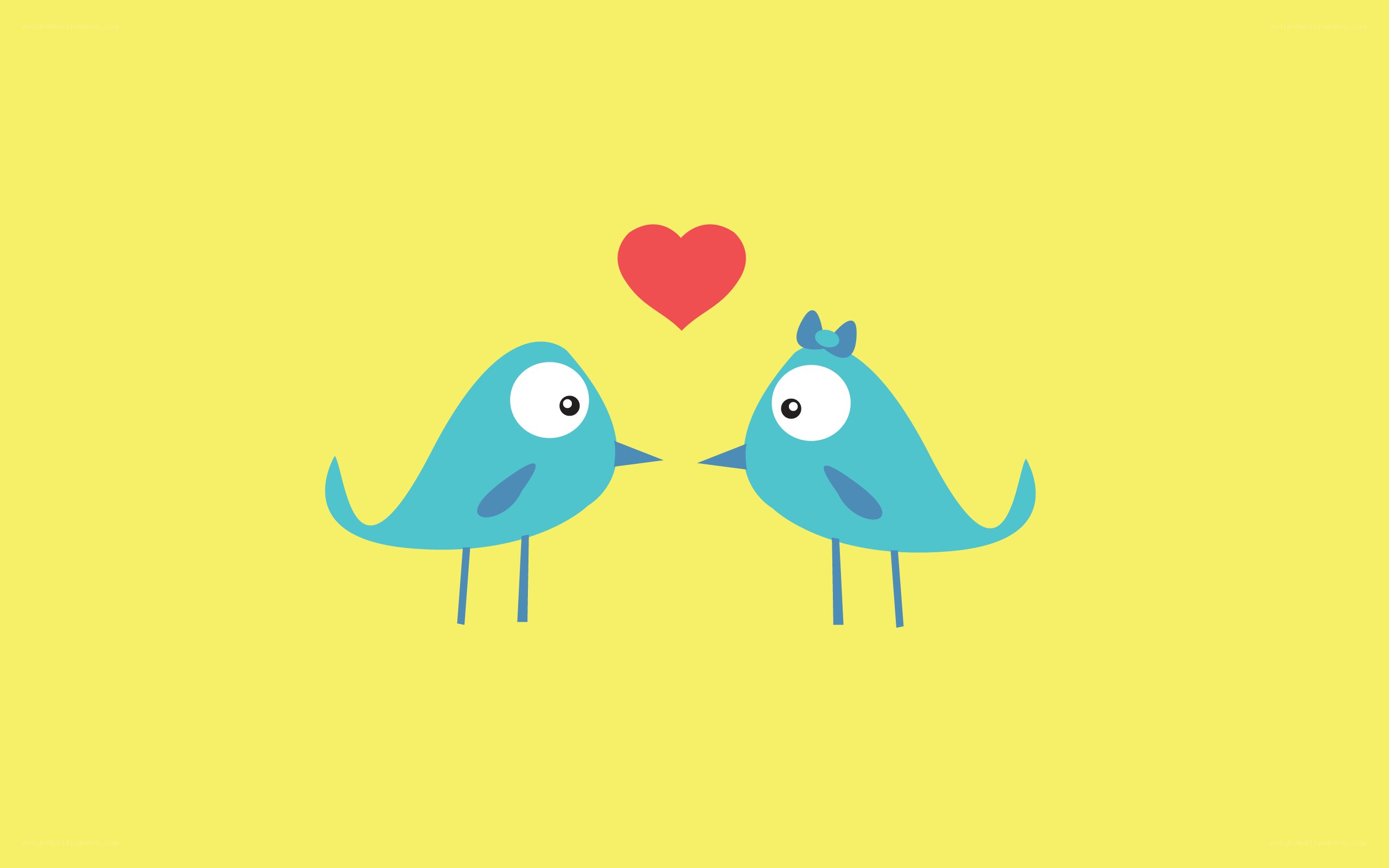two birds in love