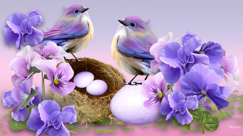 Two Birds in Nest — Purple