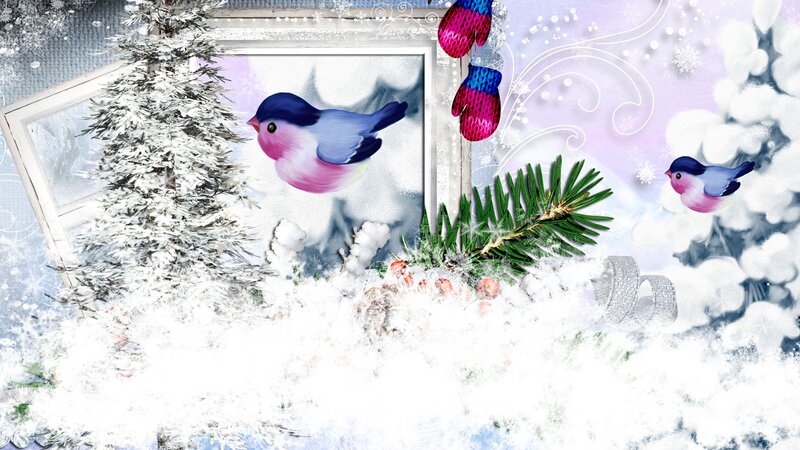 Two Birds in Snow — White