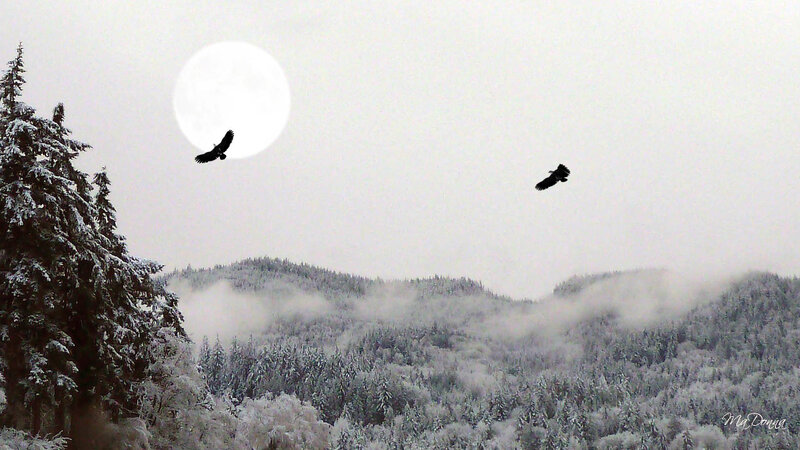 Two Birds in Winter Landscape