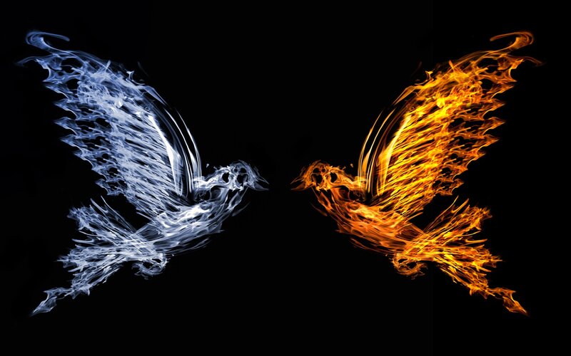 Two Birds Made of Fire and Ice