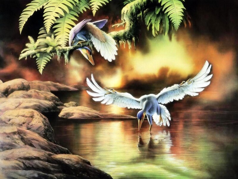 Two Birds Near Water