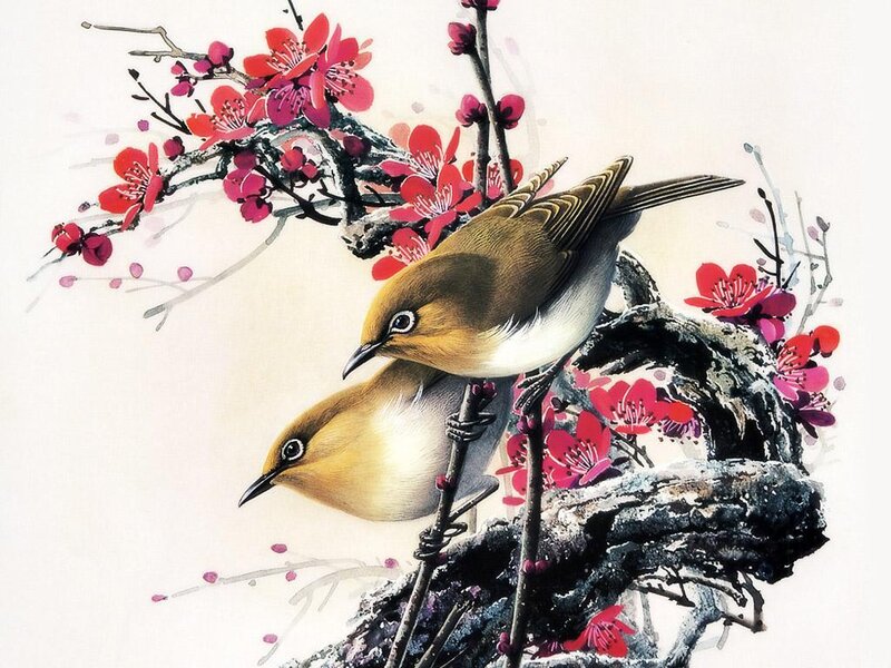 Two birds on a blossoming branch