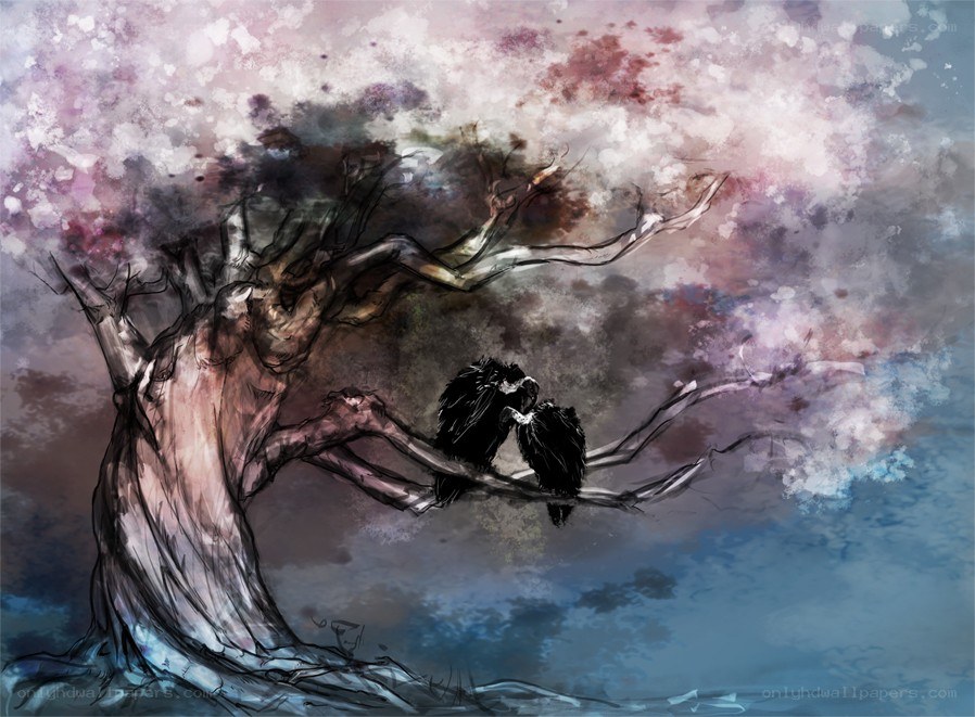Two birds on a blossoming tree