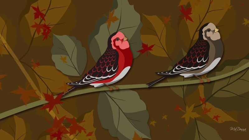 Two birds on a branch