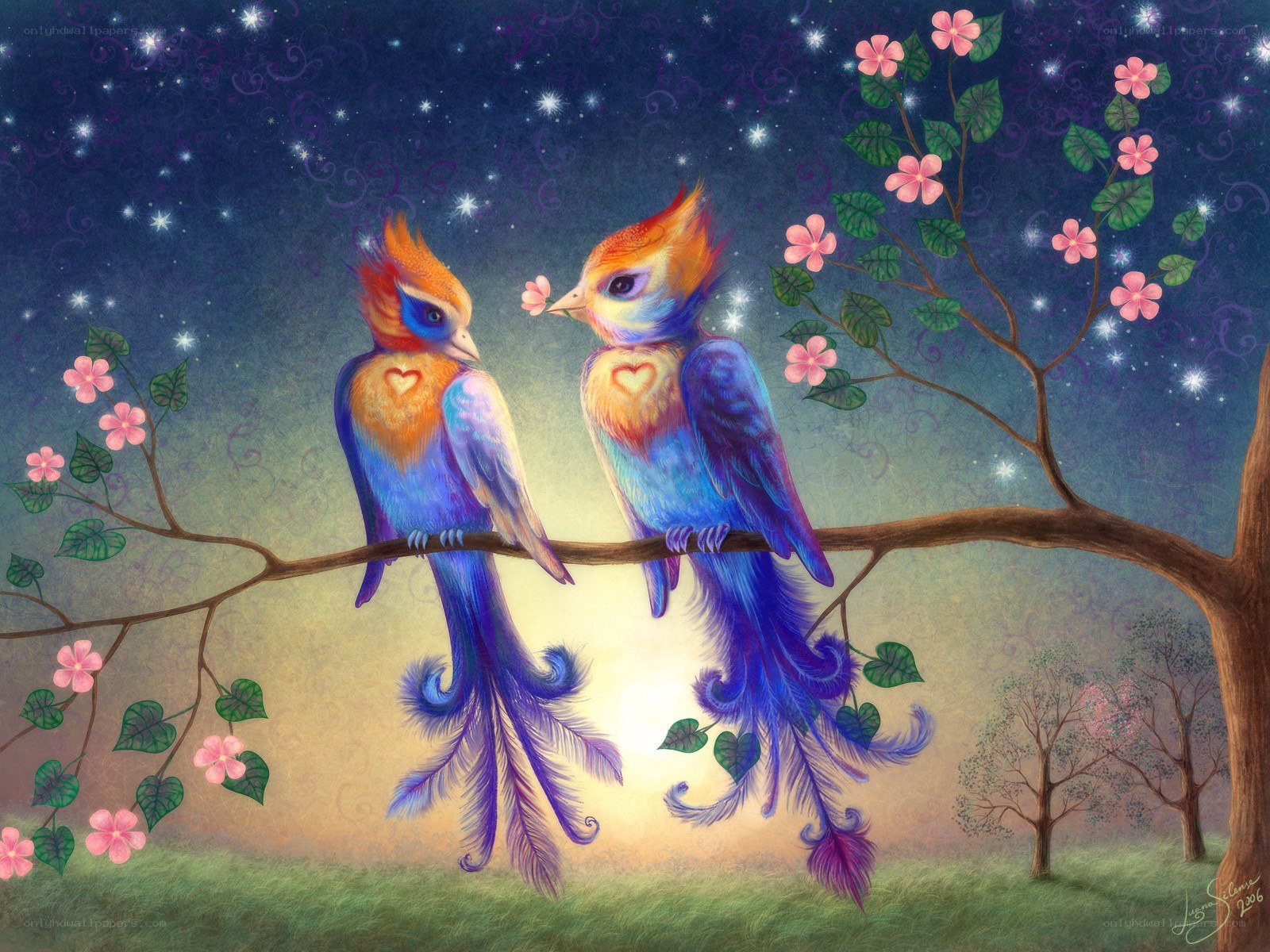 Two birds on a branch at night