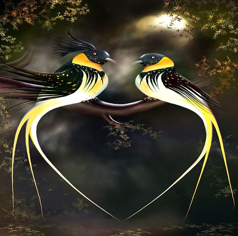 Two Birds on a Branch — Black
