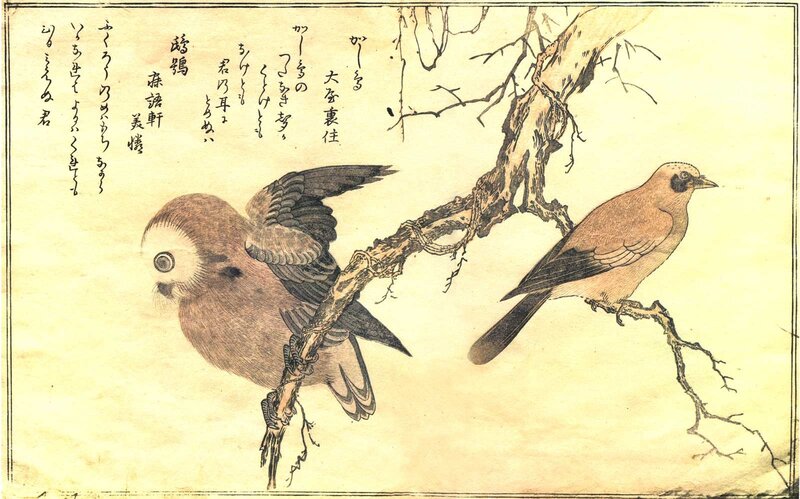 Two Birds on a Branch — Brown, Serene, Illustration, Japanese Text