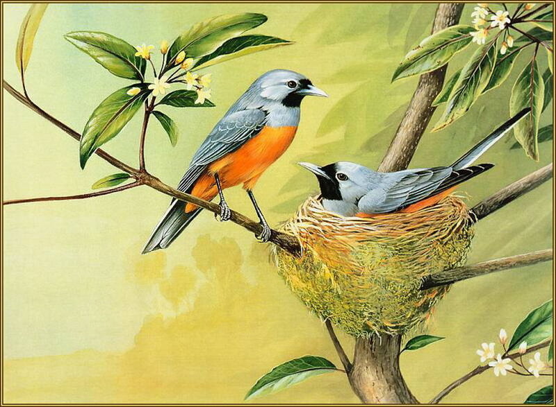 Two Birds on a Branch — Green, Serene, Spring