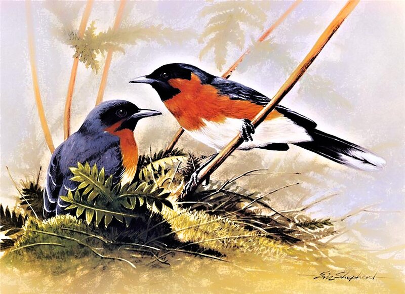Two Birds on a Branch — Orange