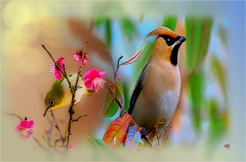 Two Birds on a Branch — Pink, Serene