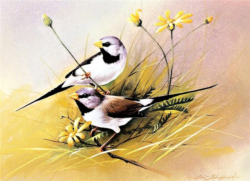 Two Birds on a Branch — Yellow, Serene, Spring, Illustration