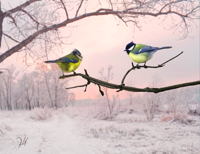 Two Birds on a Branch — Yellow, Serene, Winter