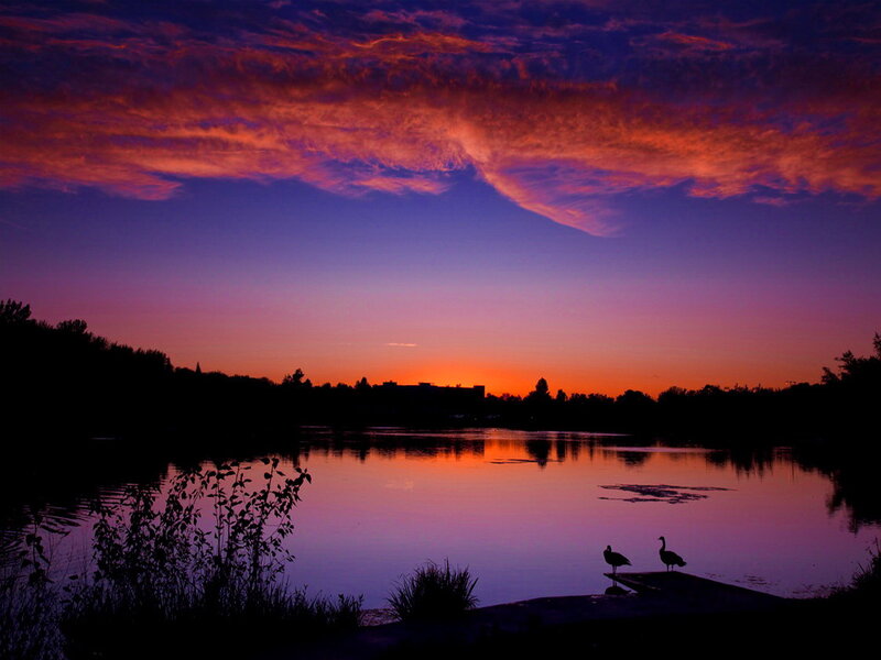 Two Birds on a Dock