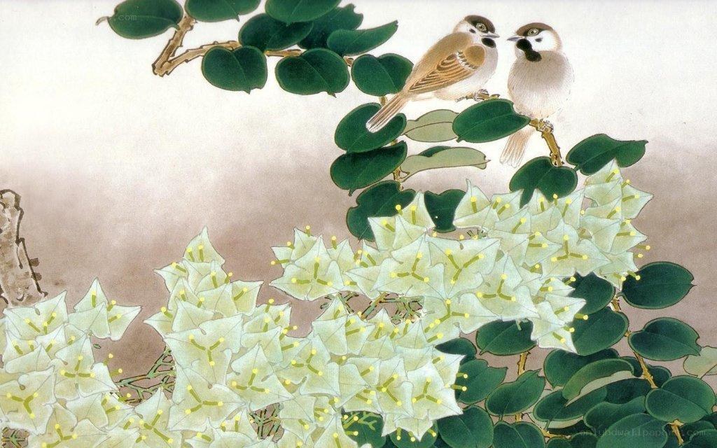 Two birds on a flowering branch