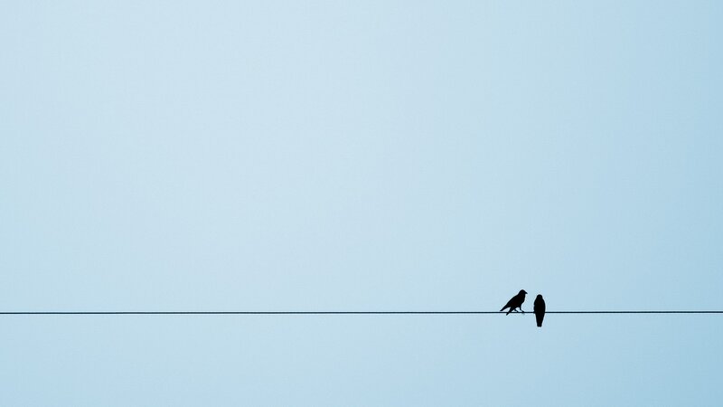 Two Birds on a Wire — Blue, Serene, Morning