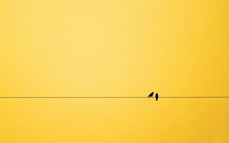 Two Birds on a Wire — Yellow, Serene, Sunset