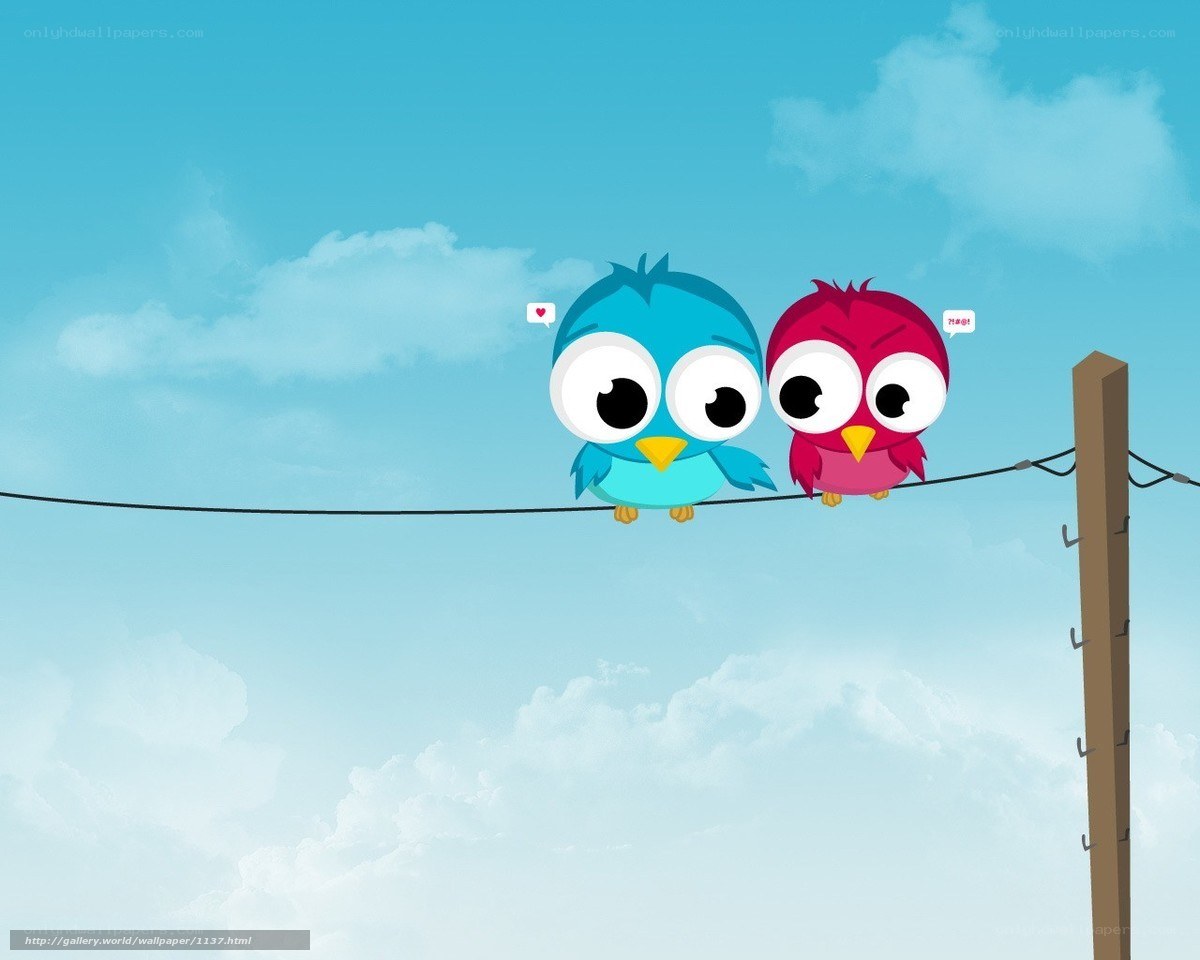 Two birds on a wire