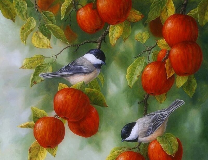 Two Birds on Apple Tree