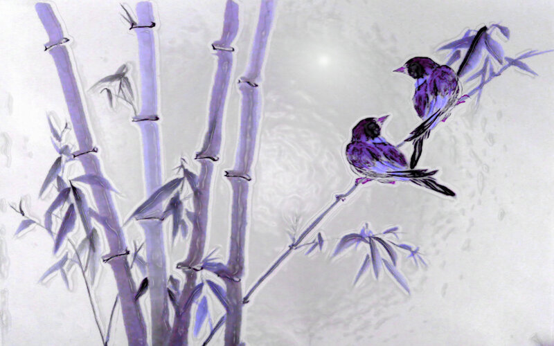 Two Birds on Bamboo